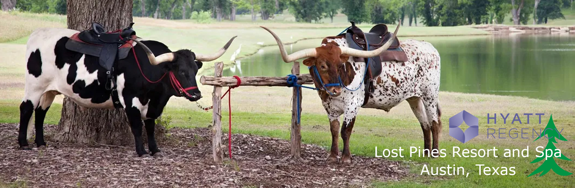 Program / Schedule American Brush Manufacturers Association